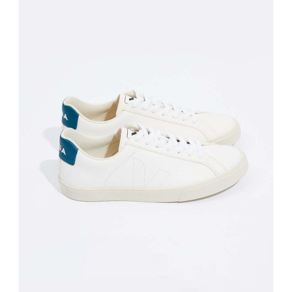 Men's Veja ESPLAR CHROMEFREE Shoes White/Blue | SG 194QMA